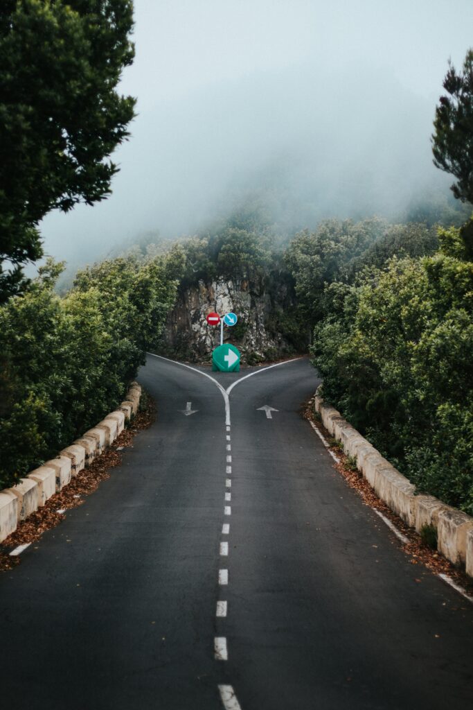 A foggy two-lane road forks at a junction marked by a green directional arrow and a red "do not enter" sign, illustrating the choice of which question to ask about your disability appeal