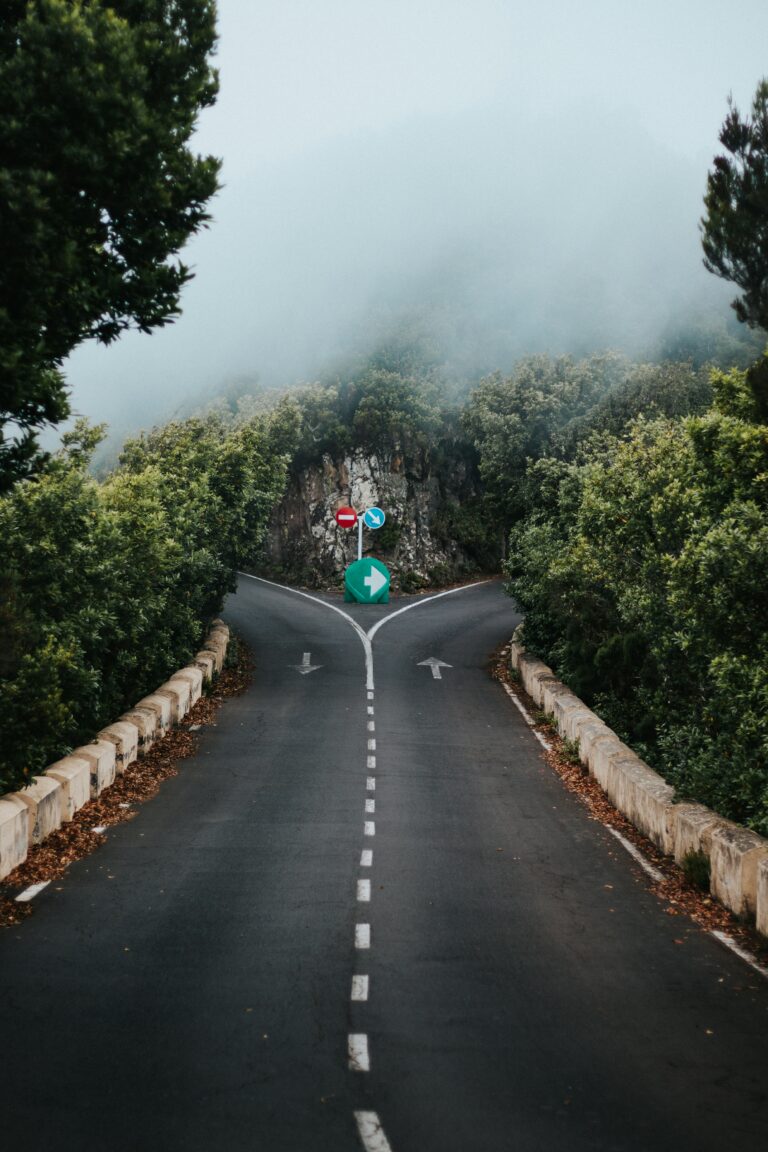 A foggy two-lane road forks at a junction marked by a green directional arrow and a red "do not enter" sign, illustrating the choice of which question to ask about your disability appeal